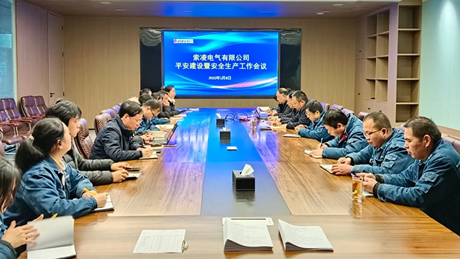 索凌電氣年度安全工作會議：壓實責(zé)任，護航發(fā)展